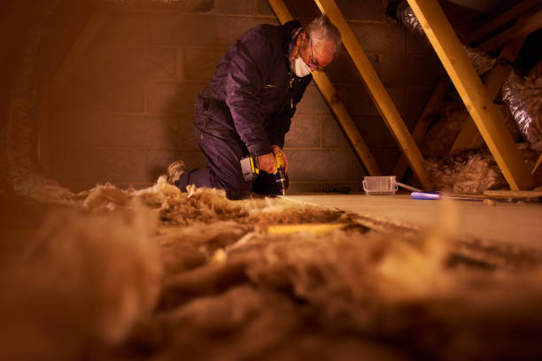 Best Attic Insulation Installation  in Milan, NM